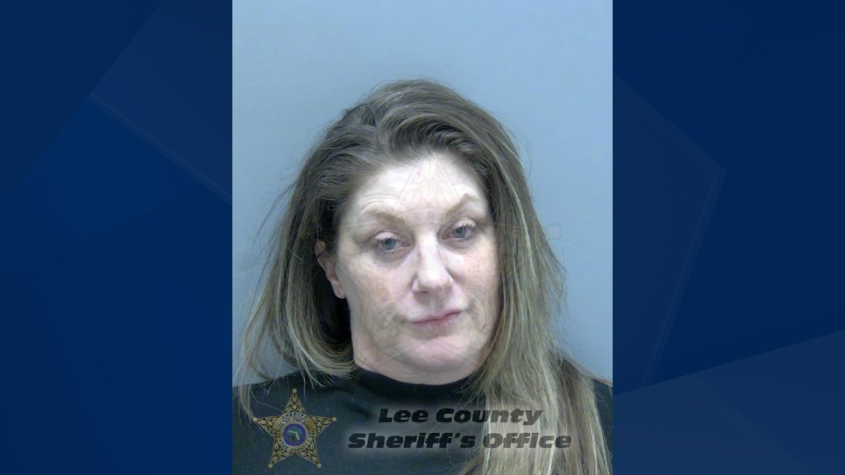Florida woman accused of driving wrong way while under the influence on ...
