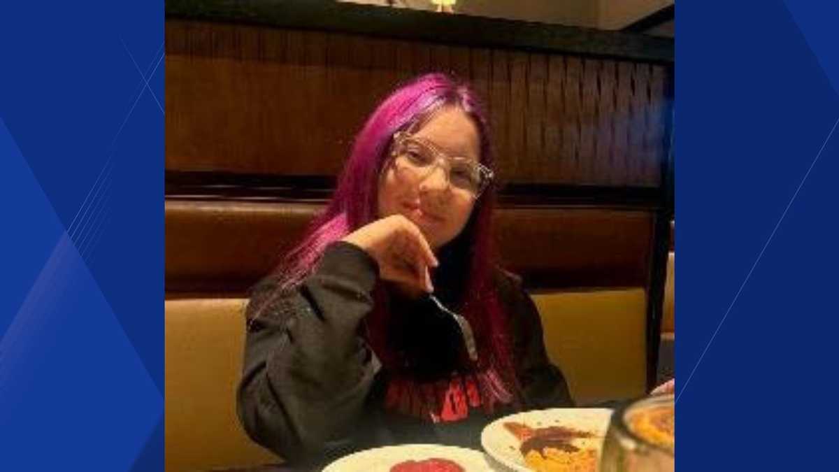 Deputies search for Port Charlotte teen missing since Sunday
