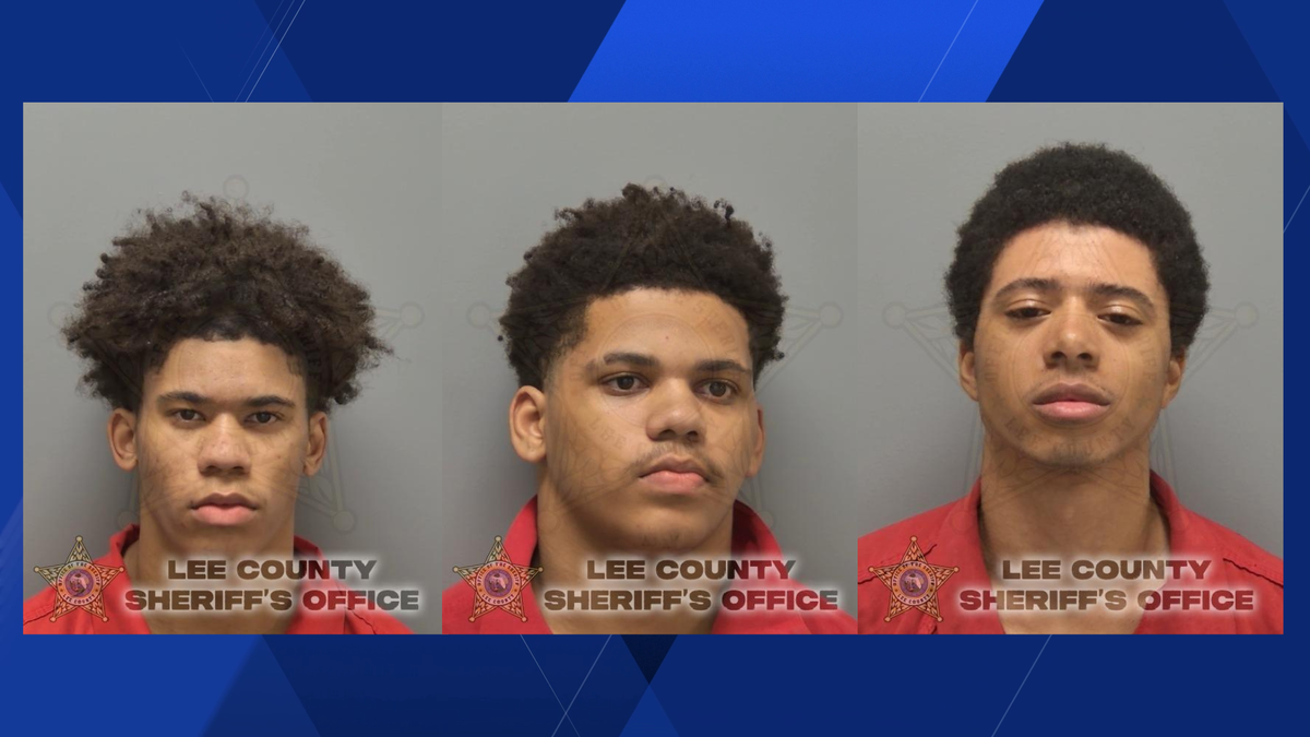 Cape Coral police arrest 3 teens on prowling charges
