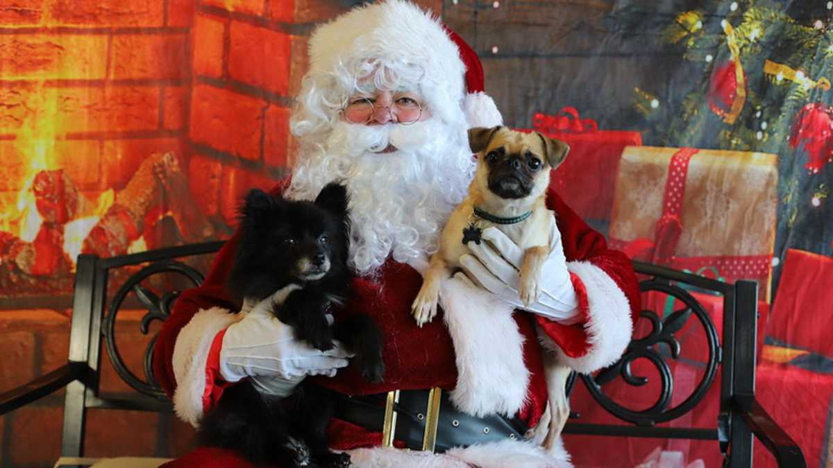 picture-your-pet-with-santa-to-benefit-kentucky-humane-society