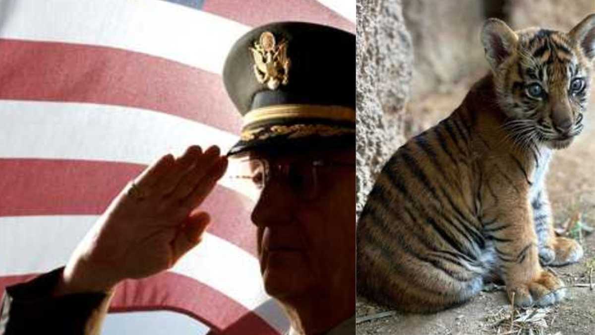 Louisville zoo veterans day