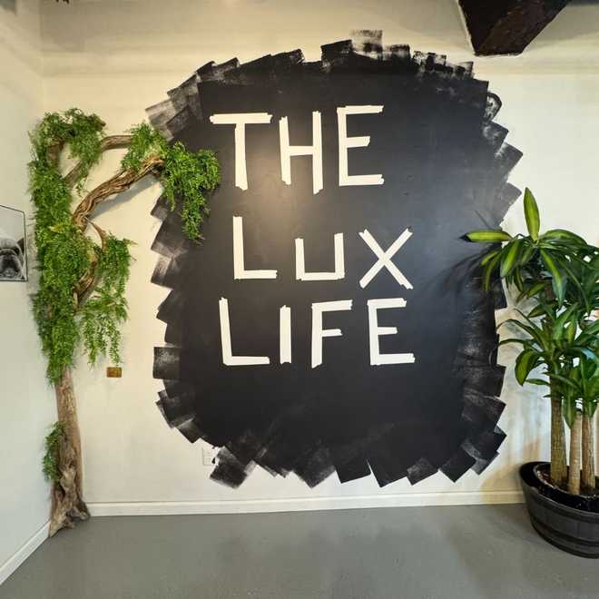 Lux & # X20; Dior