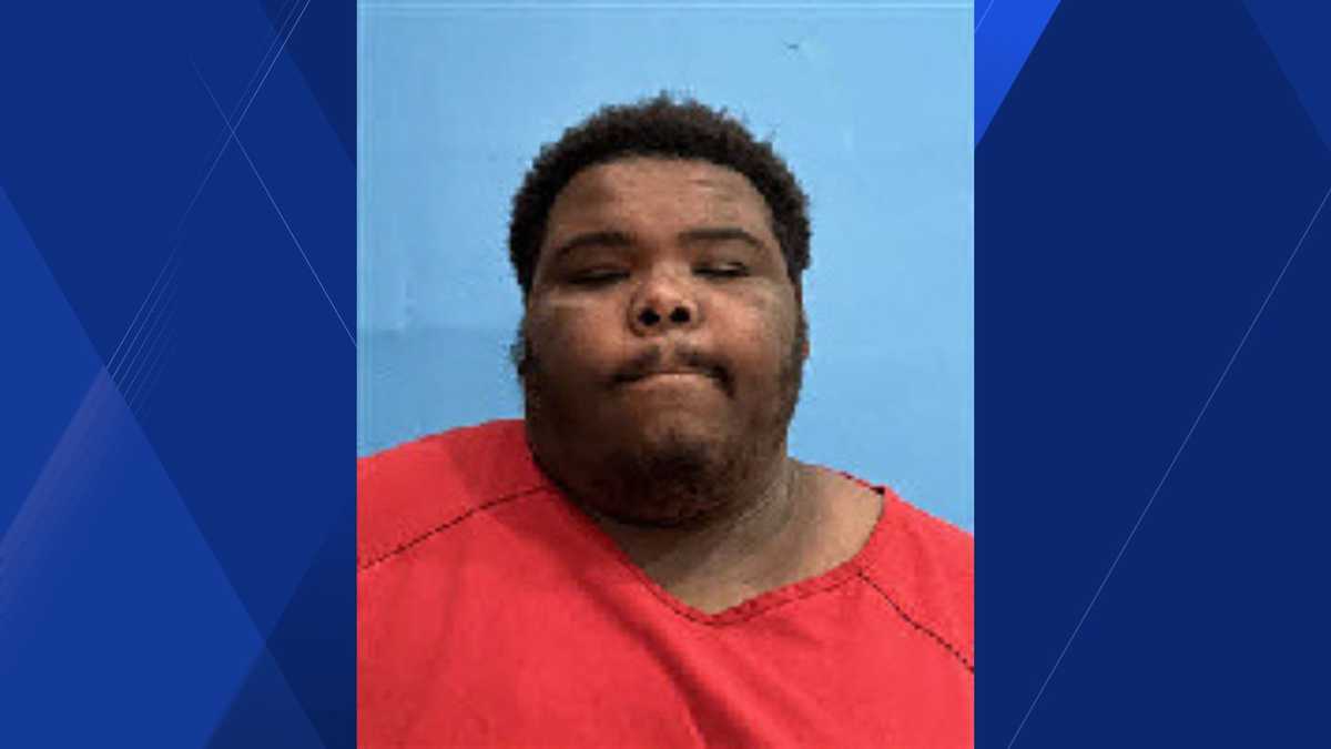 DeSoto County man accused of stealing car arrested after lengthy chase