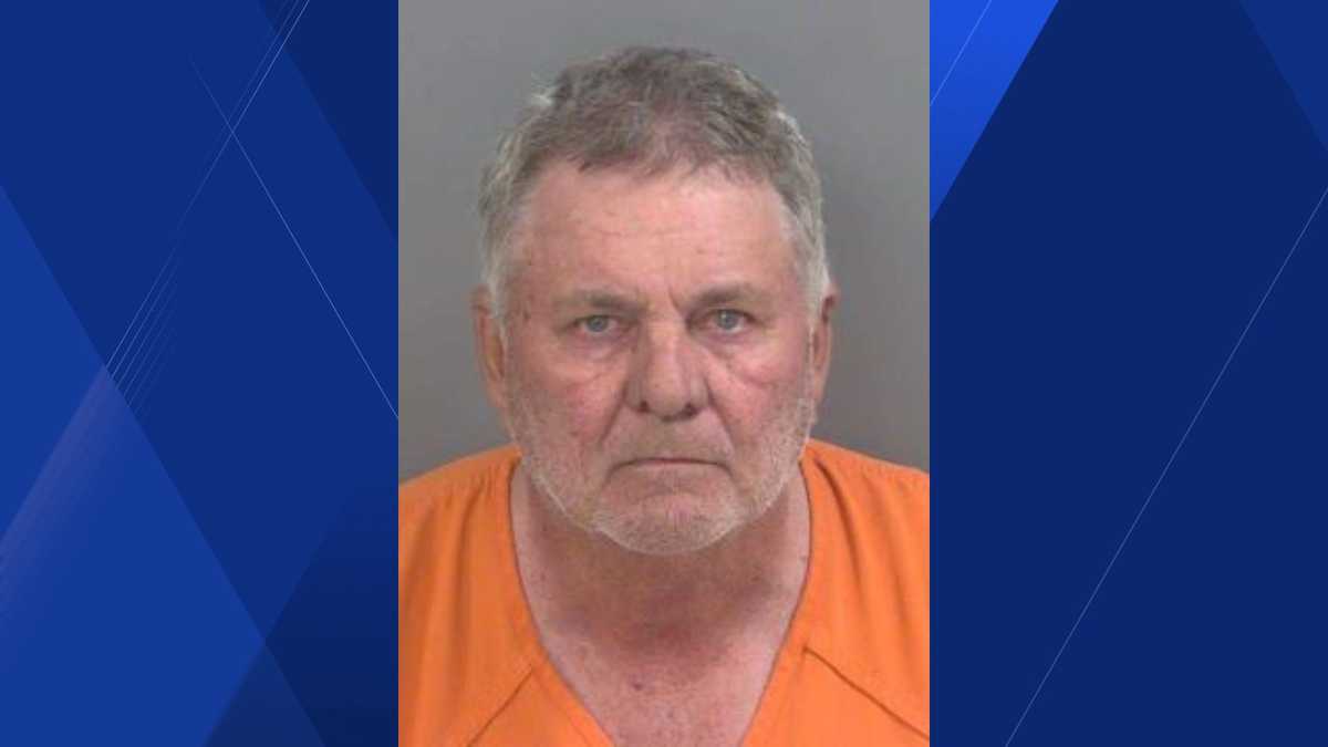Golden Gate Estates man accused of 50 counts of possession of child ...