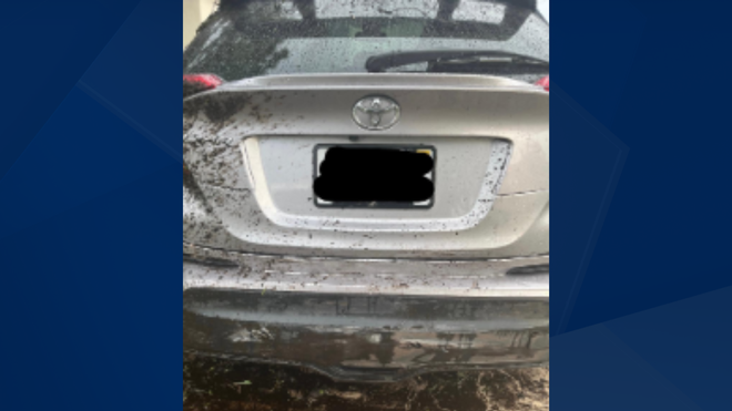 One vehicle damaged in hit-and-run