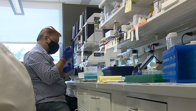 UofL secures record amount of funding to continue COVID-19, cancer research - Vimarsana News
