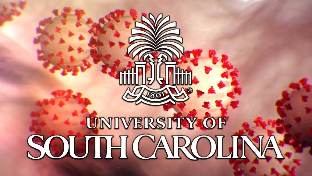 Uofsc Releases Return To Learn Plan For This Fall