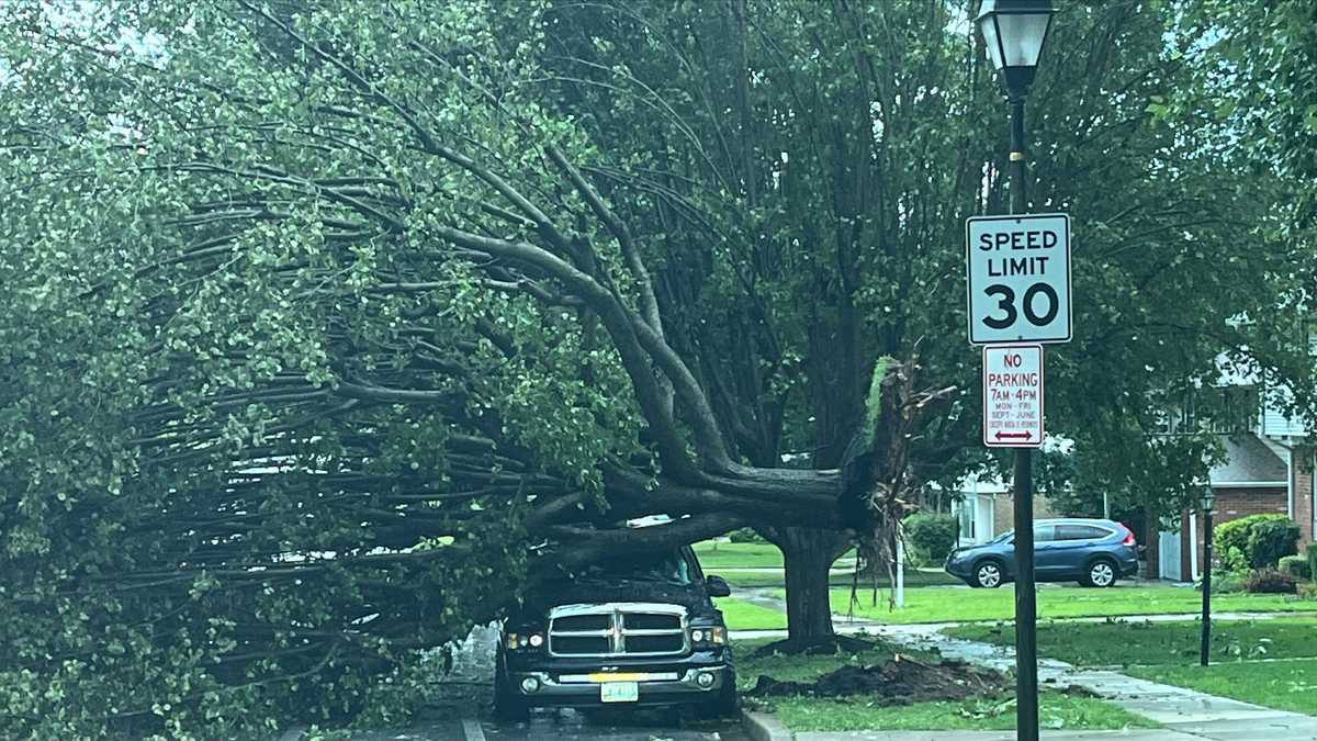 Aftermath of severe thunderstorms across parts of Maryland