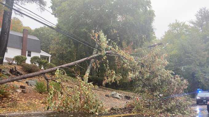 Images: Storm downs trees, power lines