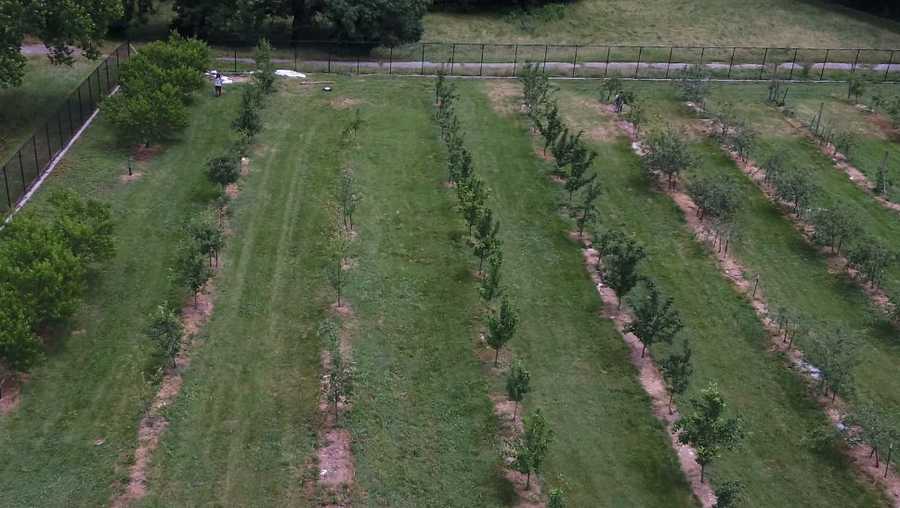 Kansas City Urban Farm Co-op hit by thieves over the weekend