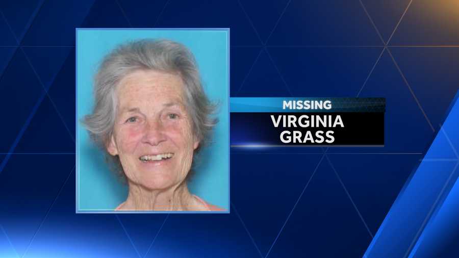 Search For Missing Woman Ends In St Clair County 3731