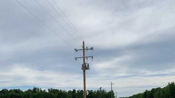 Man dies after crashing into ditch in Ripley County