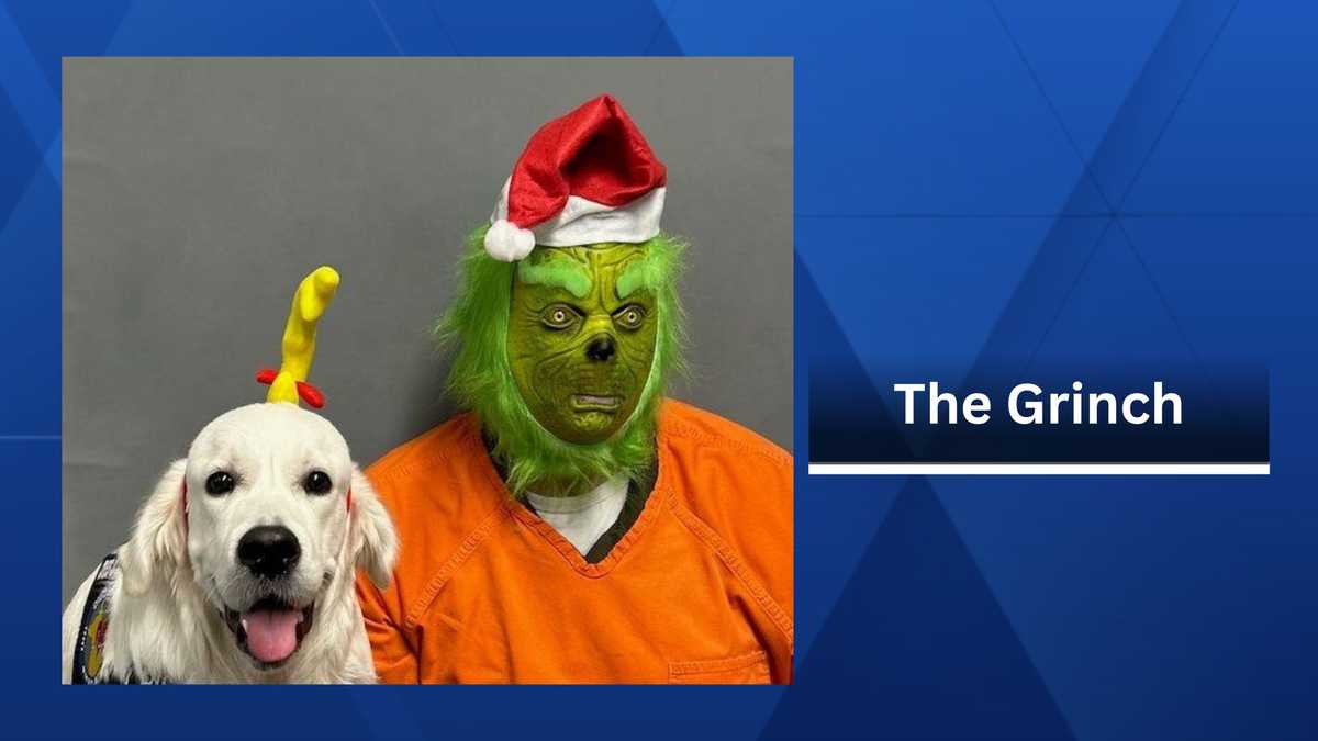 Grinch booked into Dallas Cty Jail on Christmas Eve