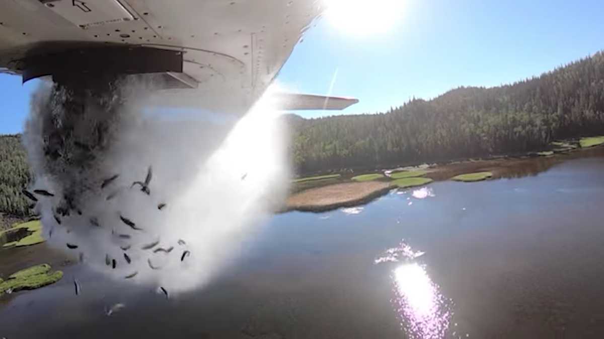 What County Rains Fish It's raining fish in Utah