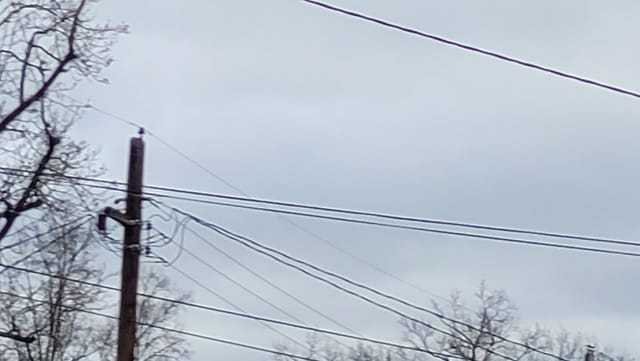99% of power restored across Louisville region nearly a week after storm