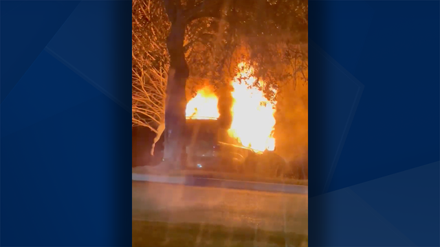 Car bursts into flames in Cape Coral - Vimarsana News