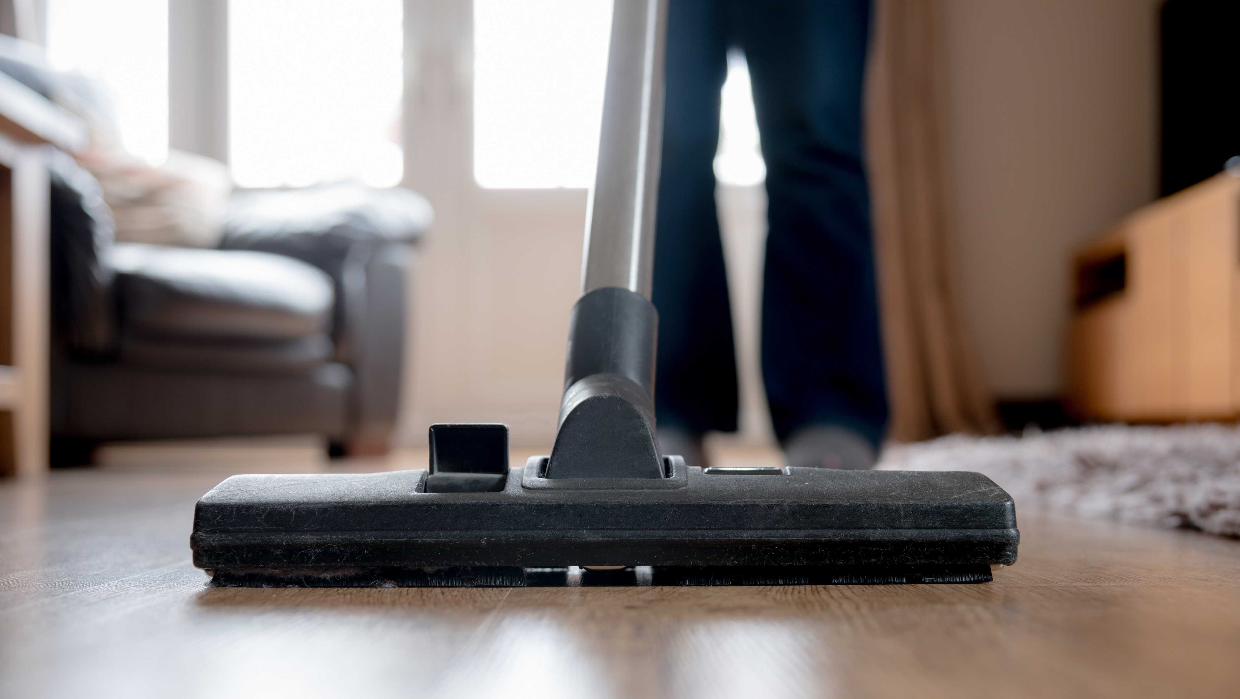 Best value vacuums to tackle cleaning all year-roudn - Vimarsana News