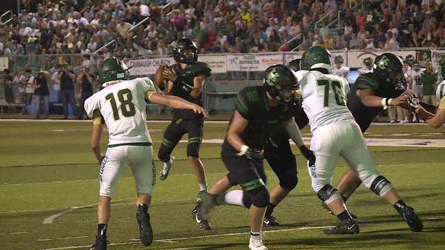 Airedales, Pointers face off in 'Battle of the Bone' rivalry - Vimarsana News