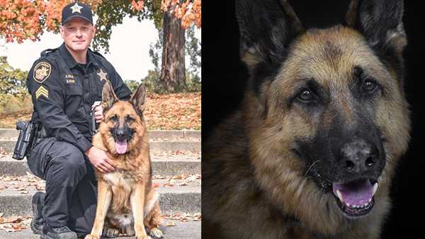 Ohio sheriff's office mourns unexpected loss of K9 officer, Vando - Vimarsana News