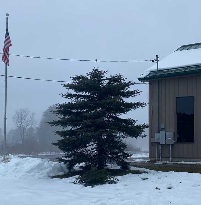 Who cut the top off the Vassalboro fire department tree?