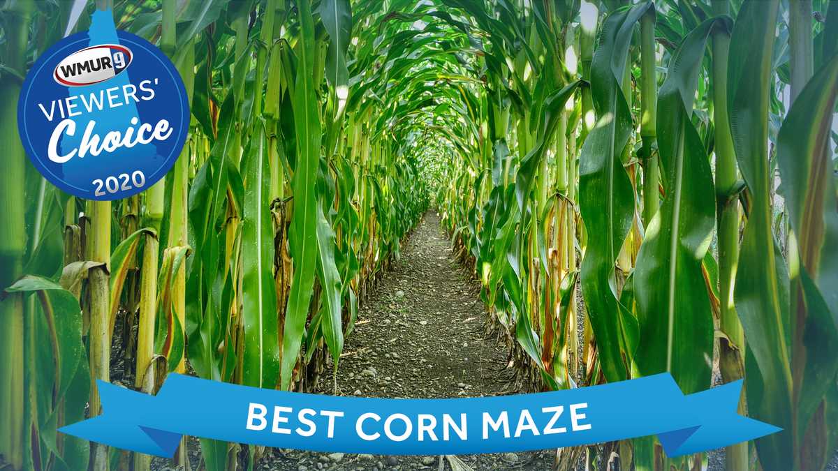 Viewers' Choice 2020 Best corn maze