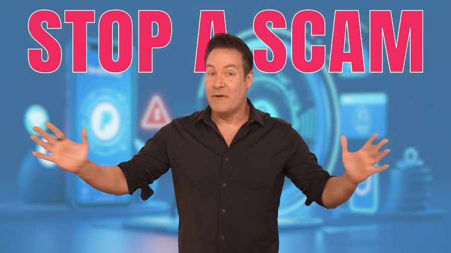 venmo and paypal scam detectors