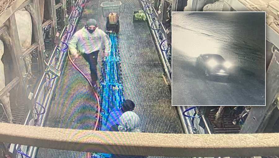 Vermont Police searching for suspects in alleged armed robbery