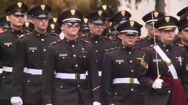 national veterans day parade in birmingham