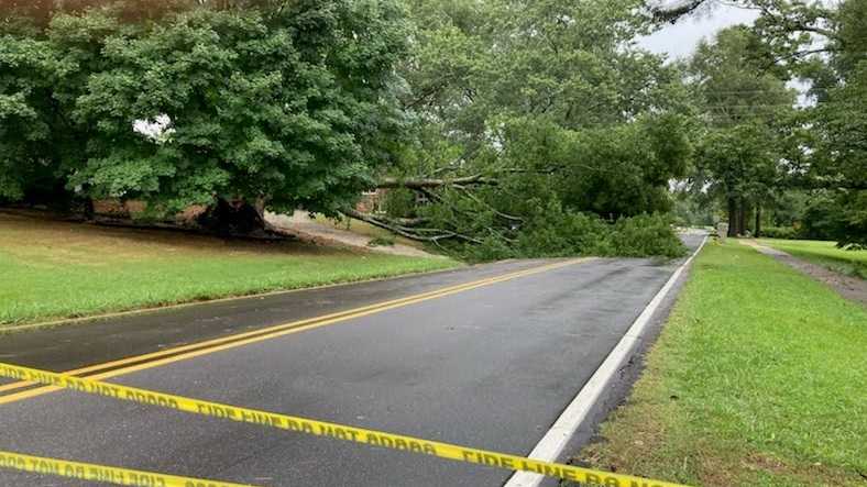High winds force trees and power lines down during afternoon storms - WVTM