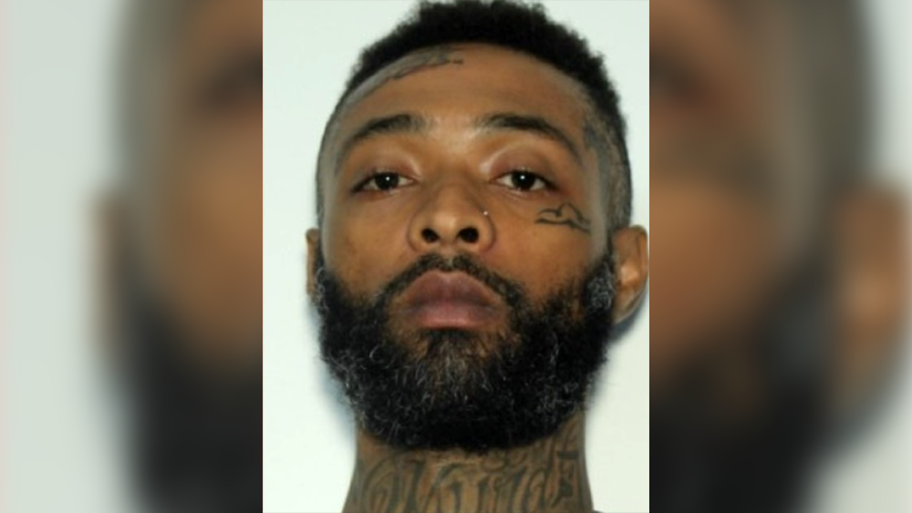 Georgia murder suspect captured after several months on the run