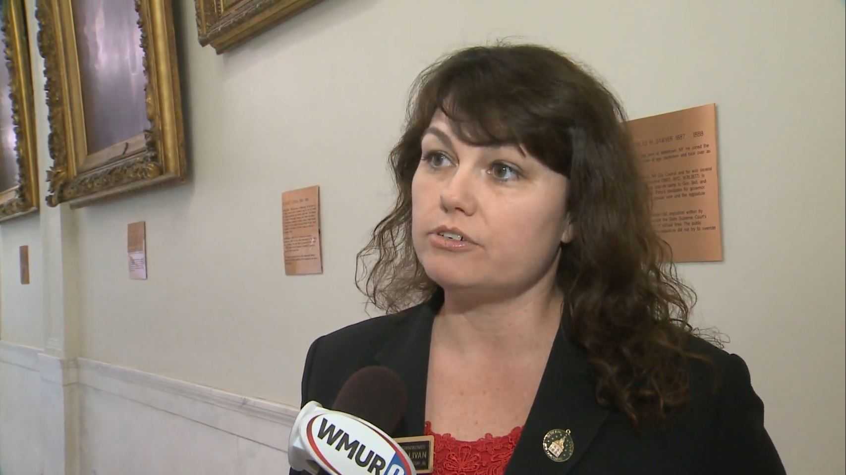 NH Primary Source: Former Rep. Victoria Sullivan To Announce Candidacy ...