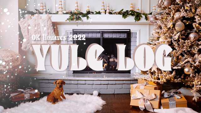 Oklahoma Humane Society releases adorable yule log video - Vimarsana News