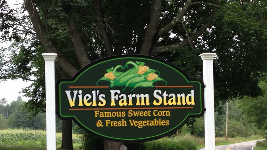 Viewers' Choice 2017 Best corn on the cob