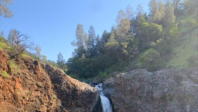 CA hiker found alive after going missing in Nevada County - Vimarsana News