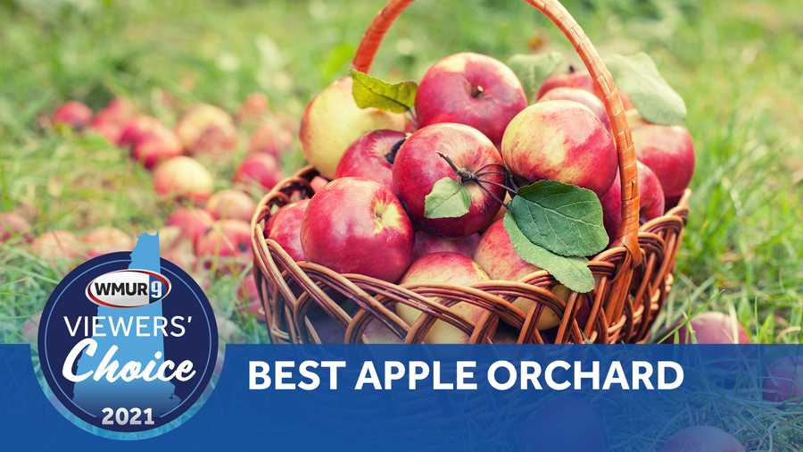 viewers' choice 2021 apple orchard