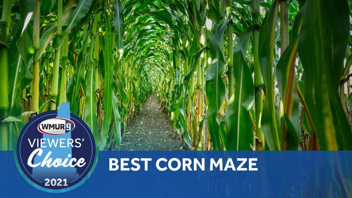 NH best corn maze of 2021