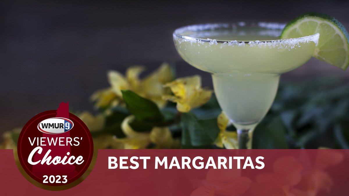 8 Best Margarita Makers in 2023, HGTV Top Picks