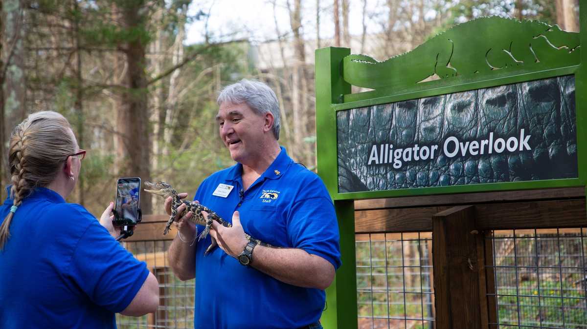 North Carolina zoo brings animals home with new virtual program