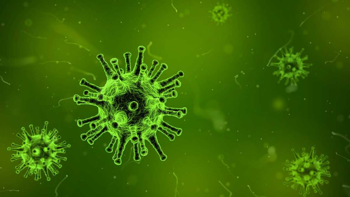 33 deaths from flu in Arkansas