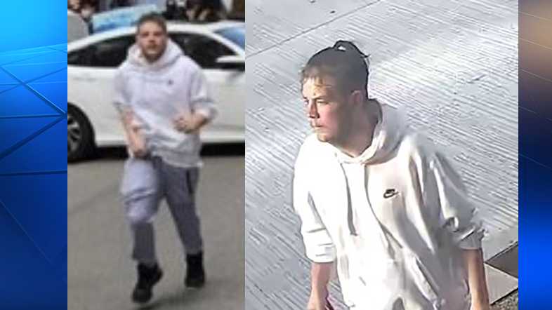 Pittsburgh police ask for help to identify man suspected of vandalizing ...