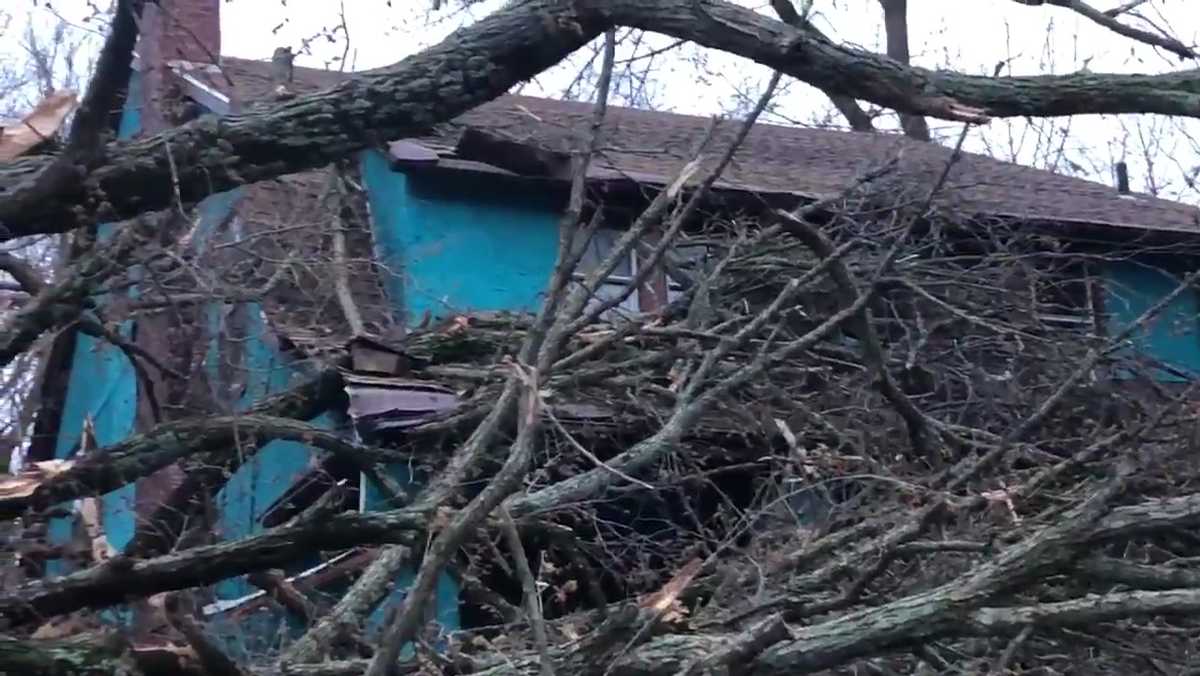 Strong winds bring down trees and wires, knocking out power in some ...