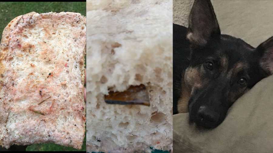 Photos of tainted bread and broken glass that police say someone intended for a man's pet dog to eat in Unity Township.