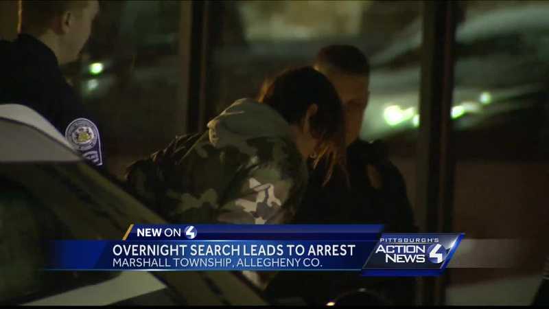 One Person In Custody After Search In Marshall Township