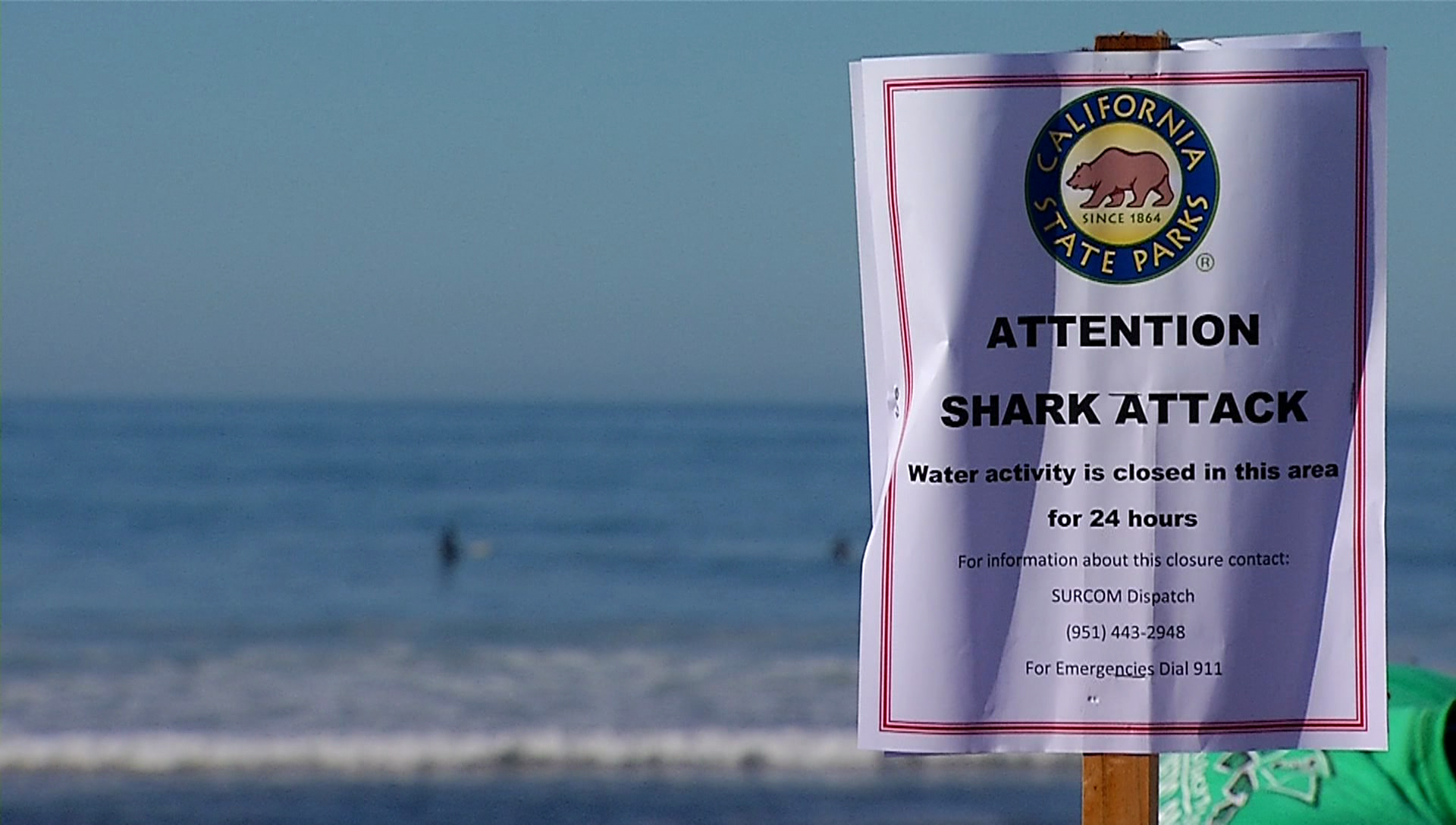 California swimmer badly injured in shark attack, News