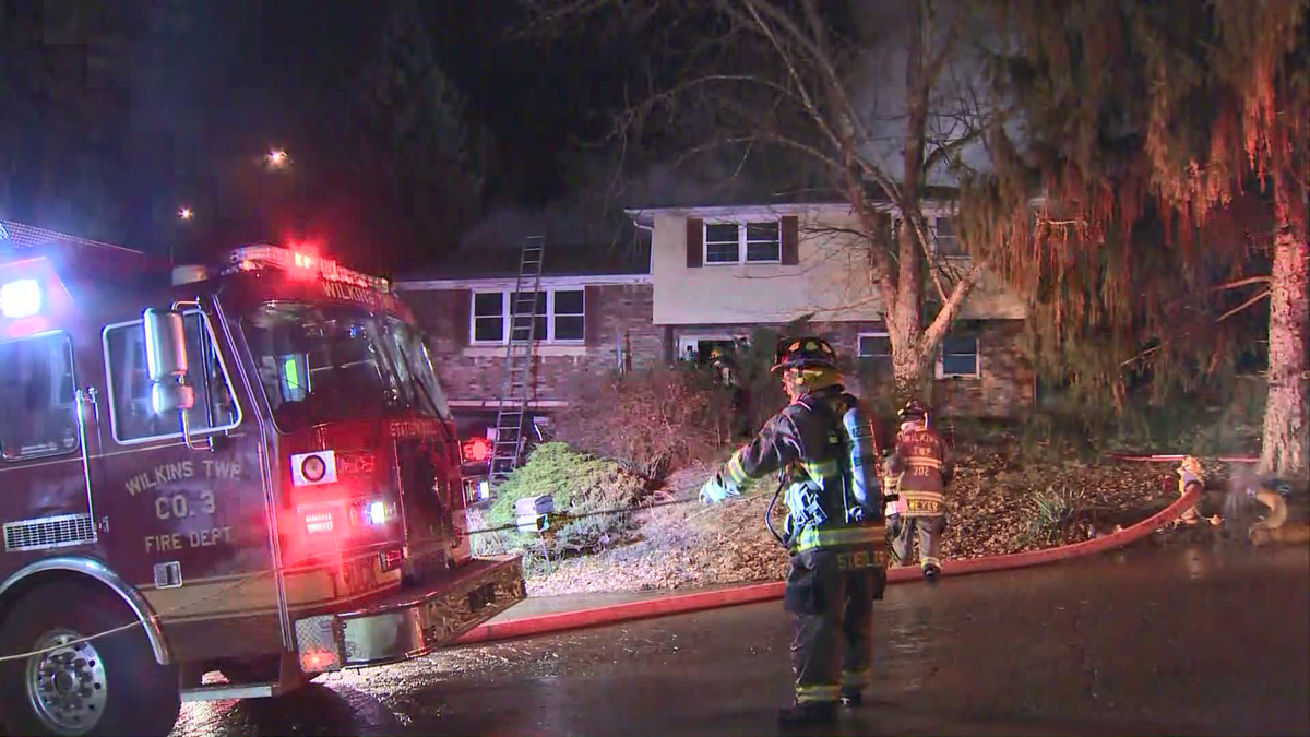 Firefighter taken to hospital; two dogs killed in Wilkins Township fire