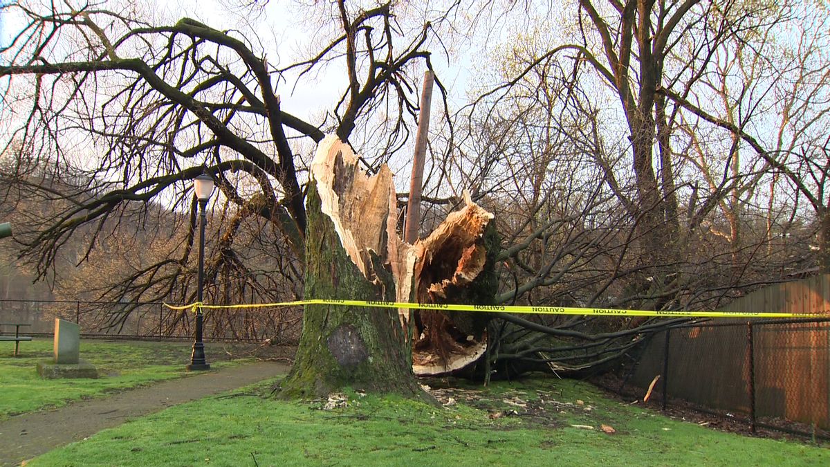 National Weather Service confirms tornadoes in Tarentum, Lower Burrell