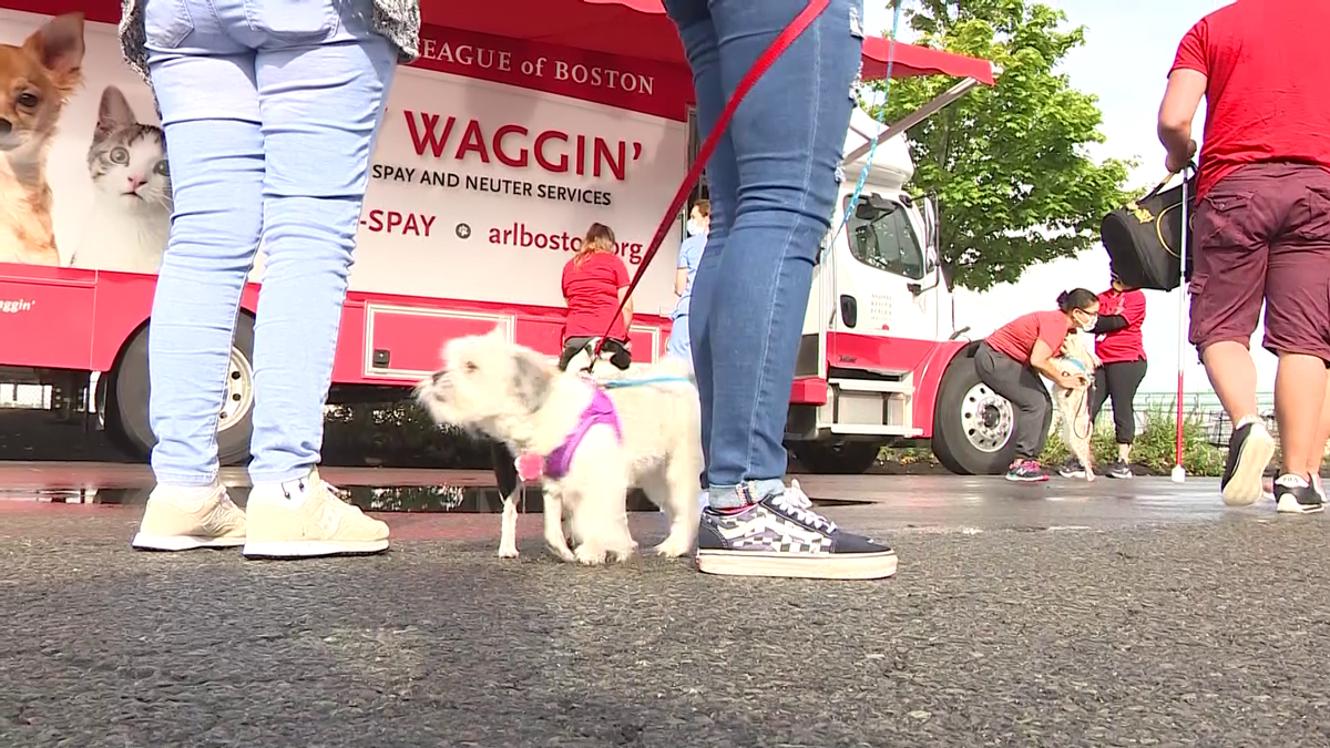 Animal Rescue League's Spay Waggin' returns to Boston