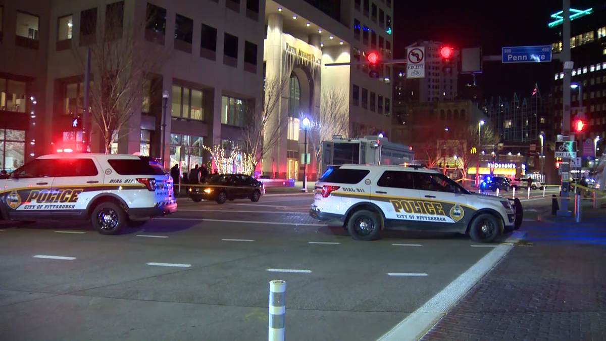 Pedestrian killed after being hit by a car in Downtown