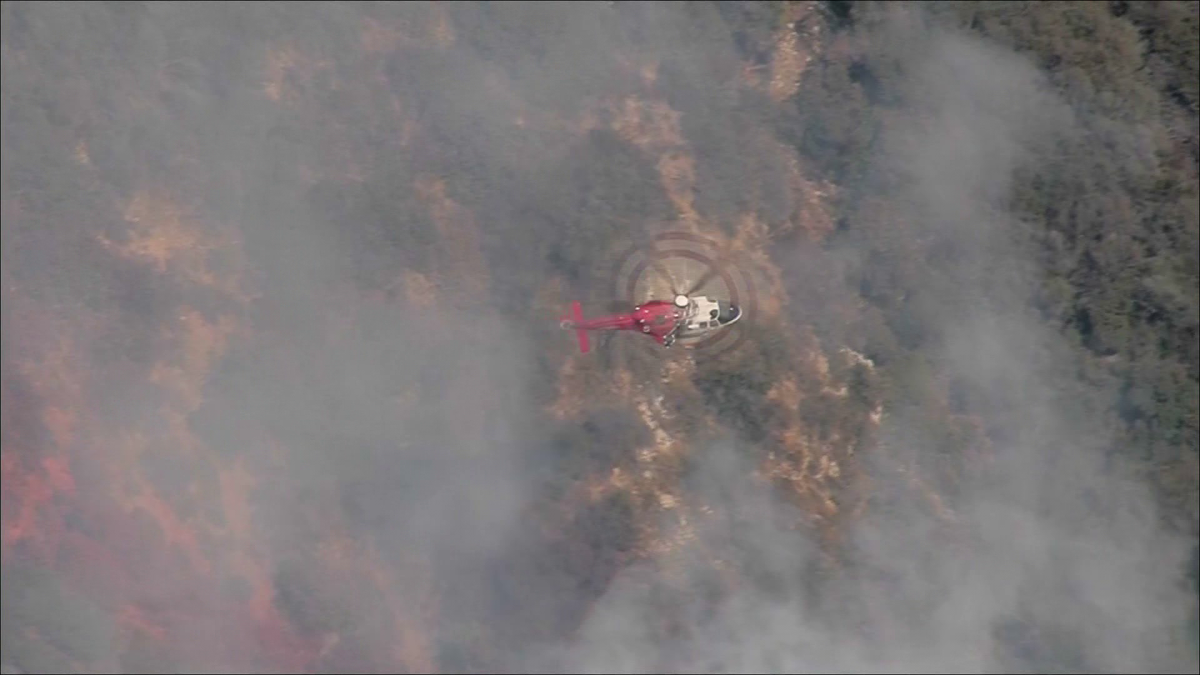 Arson arrest made in Pacific Palisades fire that forced evacuations