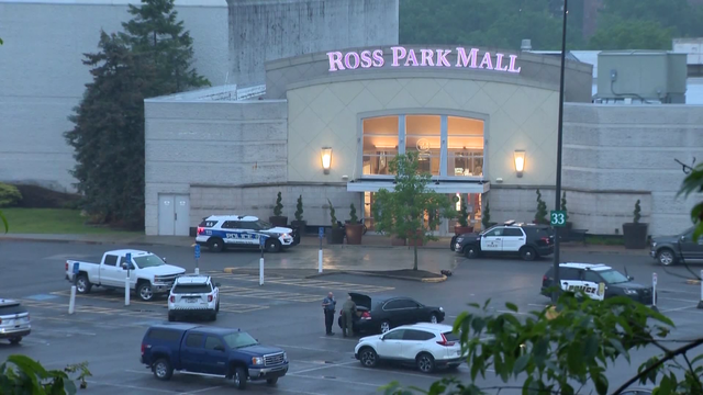 Teens facing gun charges related to weekend Ross Park Mall